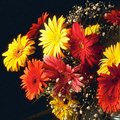 Цветы | Виртуальные открытки