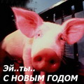 Pig year | Virtual postcards