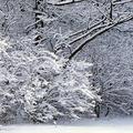 Winter | Virtual postcards