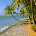 Tropics | Virtual postcards