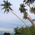 Tropics | Virtual postcards